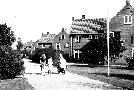 Zuiderpark, 1969
